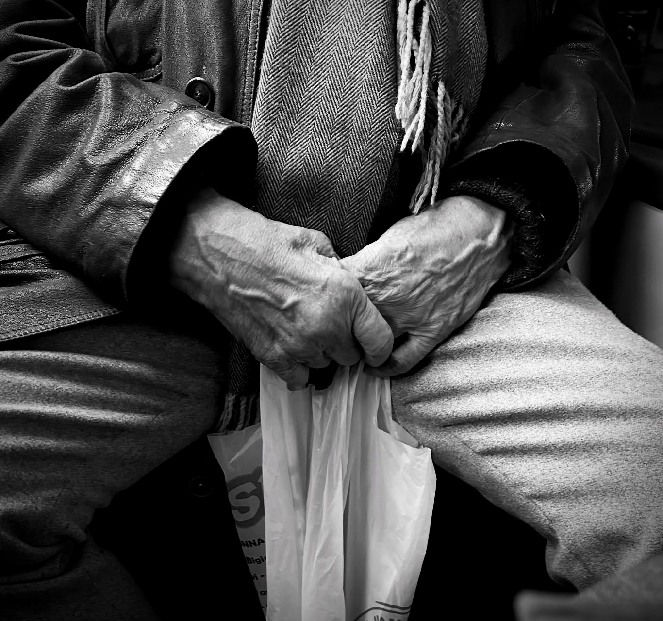 Mani, autobus a Genova